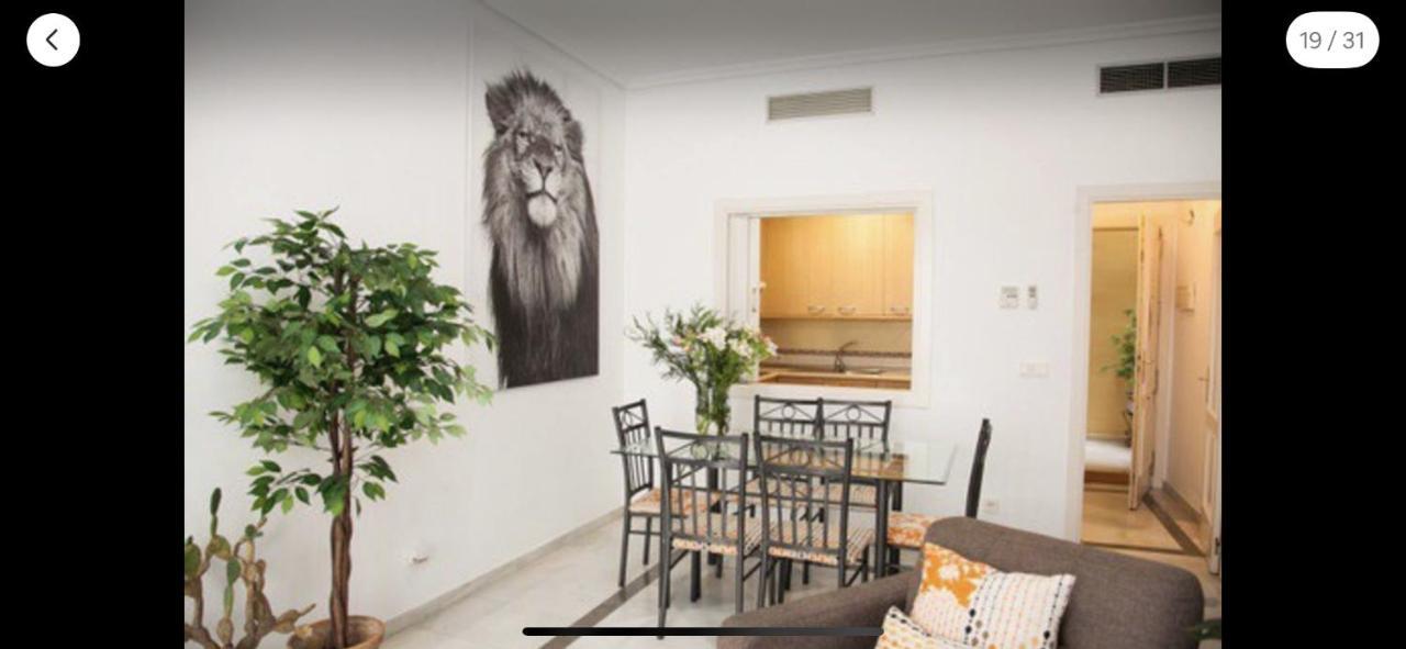 Very Nice Apartament. City Center. Private Parking Sevilla Buitenkant foto